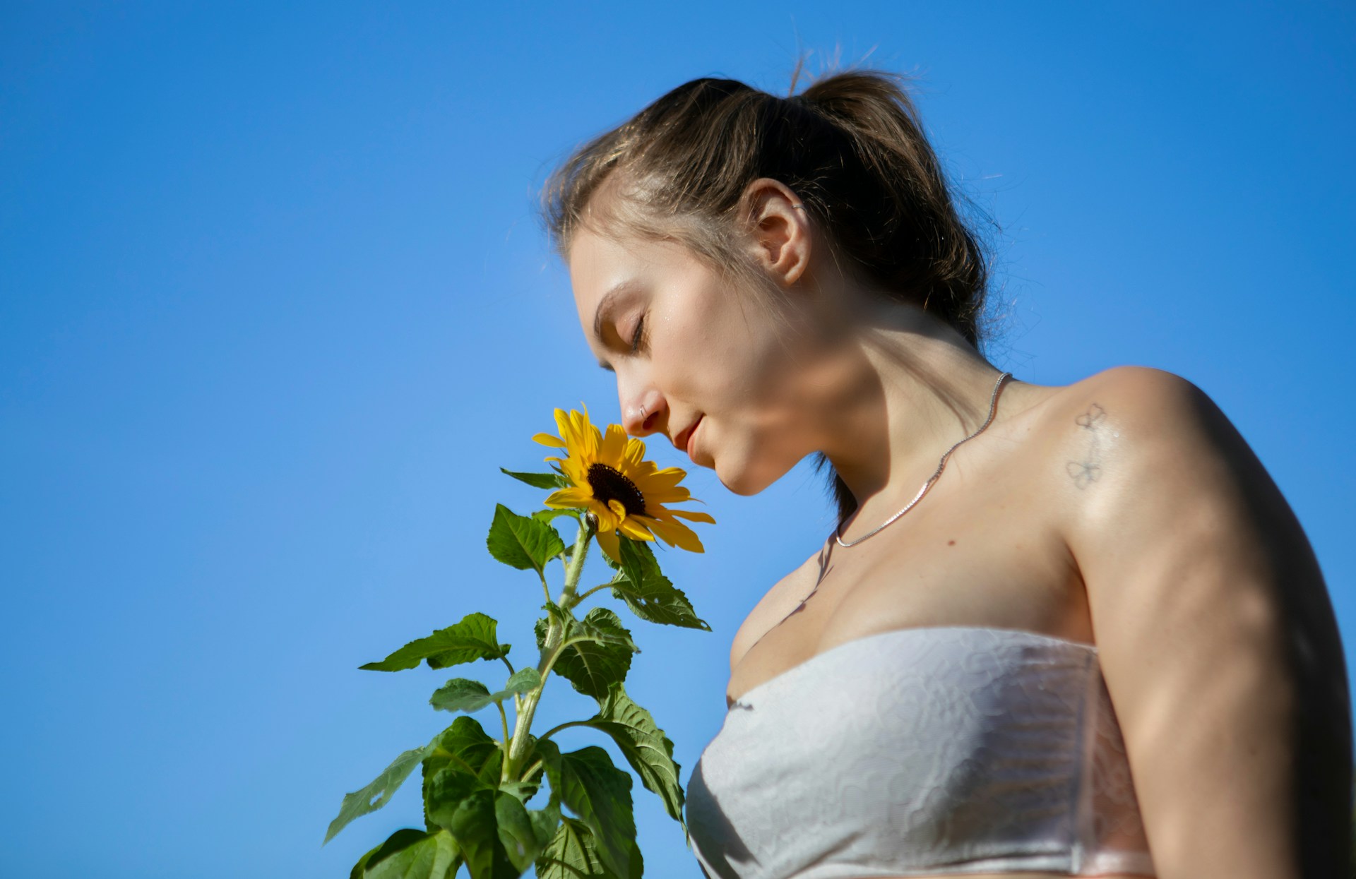 Фокус и яснота